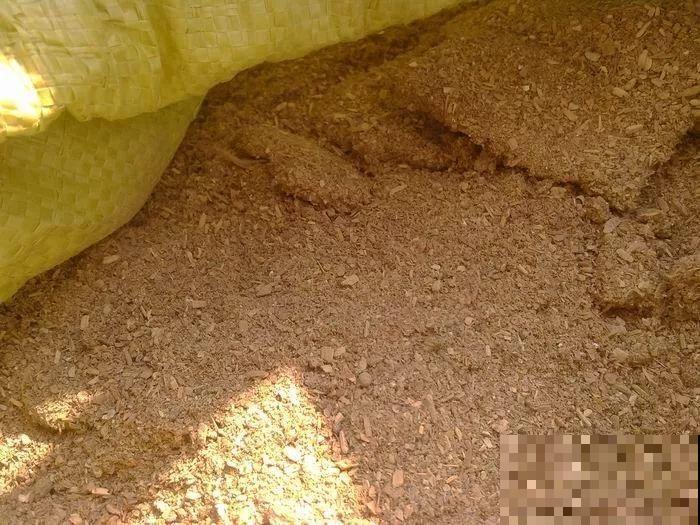 2滴废油倒盆里，花呼呼全开了，半年不用施肥！