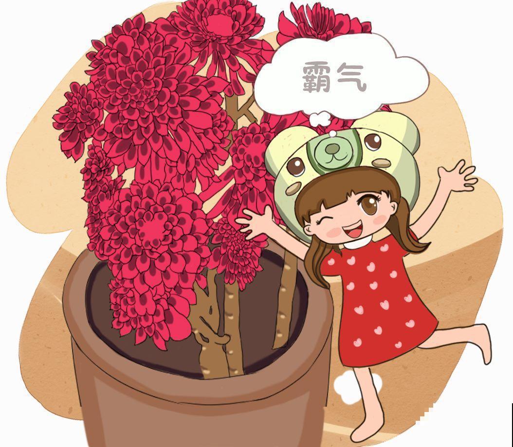 别人家的多肉，枝干粗壮像一棵小树，养10年没问题！