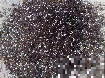 啤酒能不能浇花？这个还真不好说，要看怎么浇水！