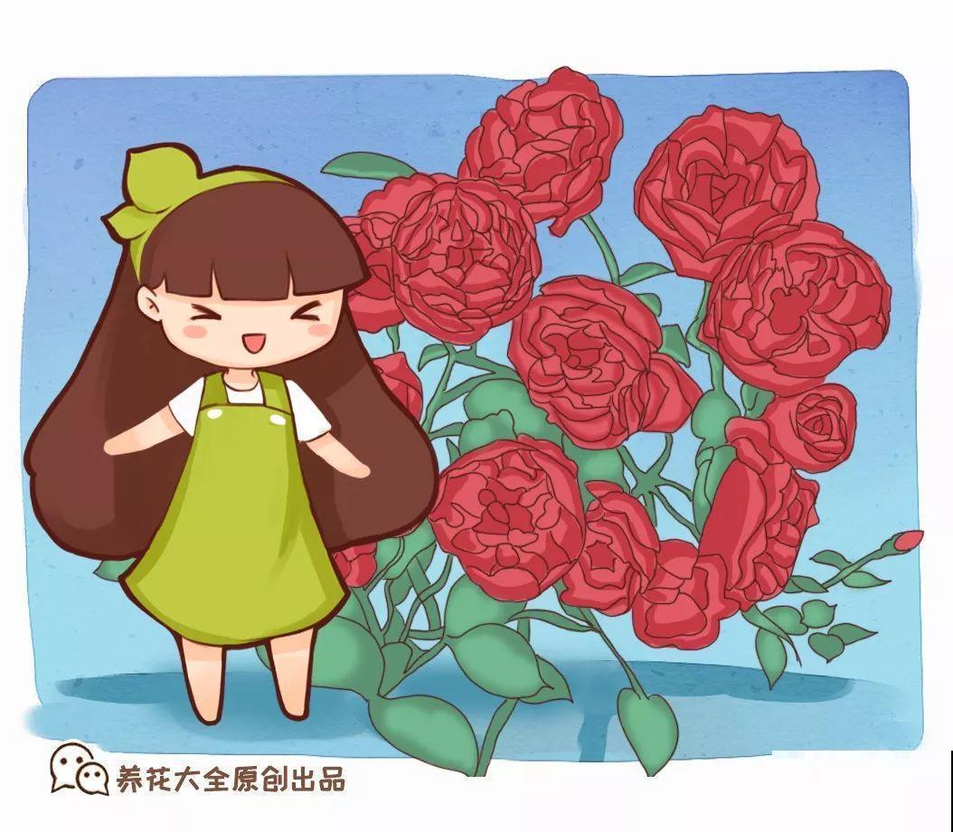 这肥劲儿真大，一小撮兑水里，10天花苞嘭嘭开！
