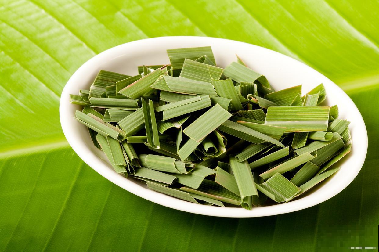 哪些植物能驱蚊？
