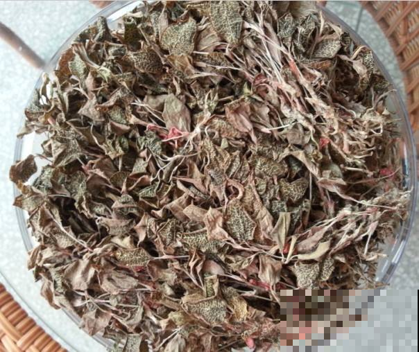 这野草看似普通，却有数不清的人挤破头去挖，卖价贵疯了！