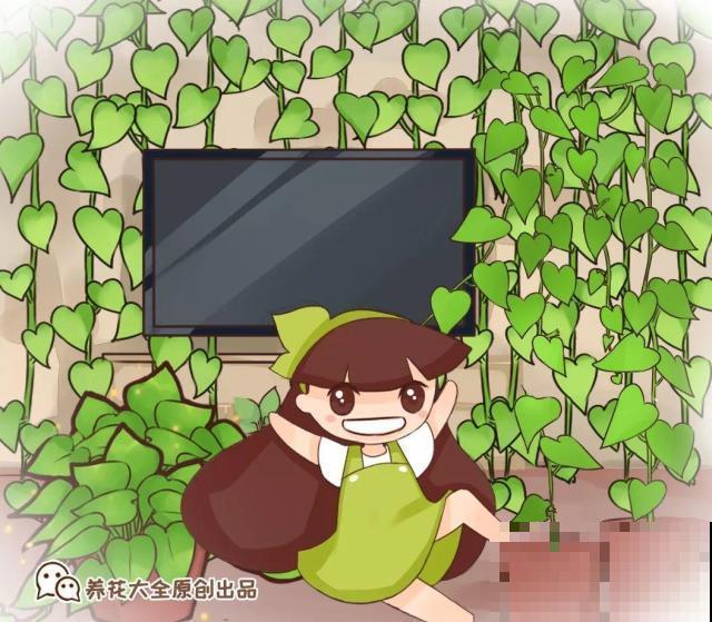 啤酒能不能浇花？这个还真不好说，要看怎么浇水！