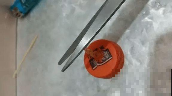 在养花人眼里，塑料瓶可是好宝贝，摇身一变成绿萝柱！