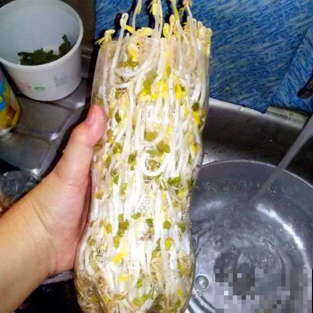 废弃塑料瓶原来还能干这事？以前都扔了，悔的直跺脚！