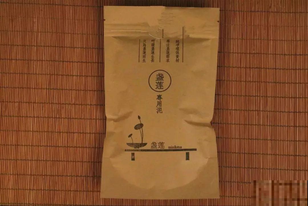 碗莲就得夏天种，丢种子到大缸，花全冒出来！