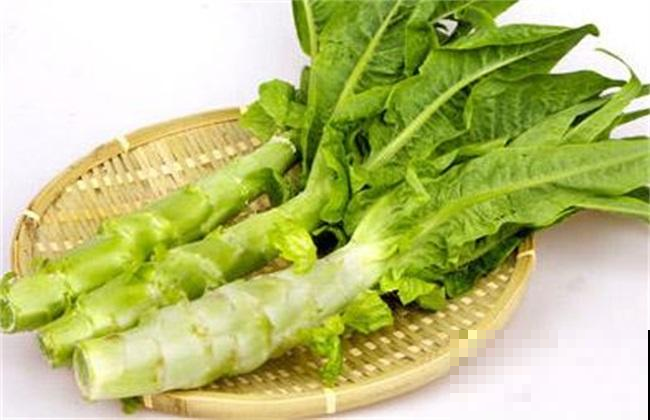要想瘦试试种种花，阳台种点它，清肠又排毒！