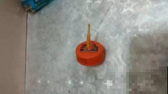 塑料瓶在养花人手里，能浇水能扦插，咋用都是好宝贝！