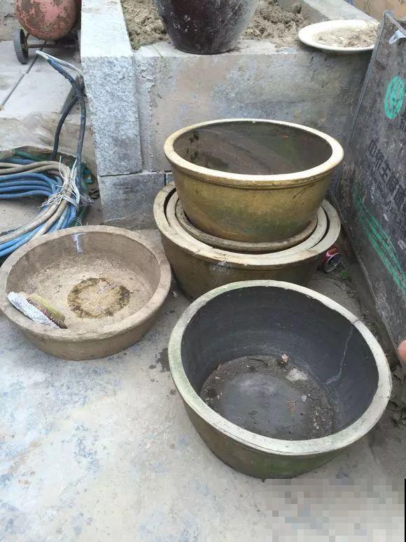 几十个高价花盆，被扔在垃圾桶旁，捡还是不捡？