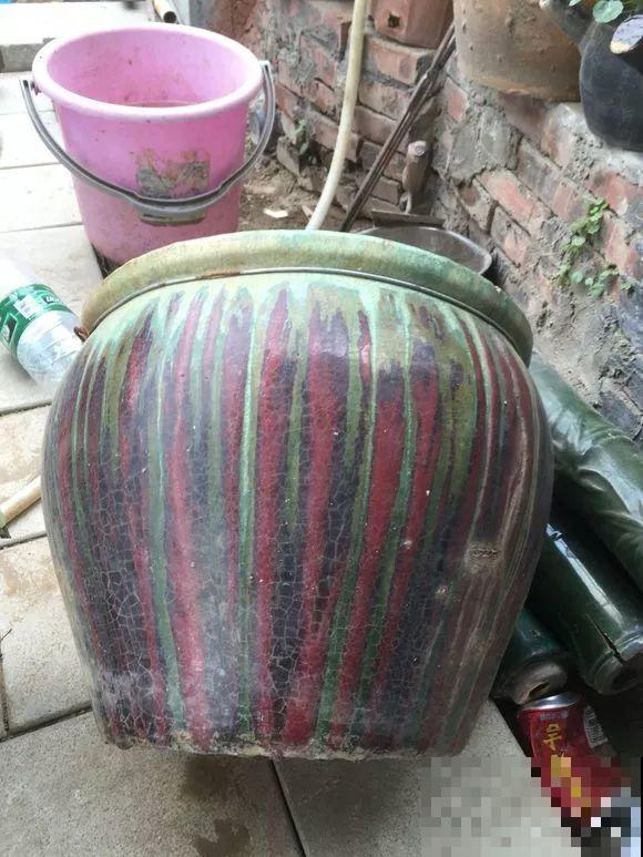 几十个高价花盆，被扔在垃圾桶旁，捡还是不捡？