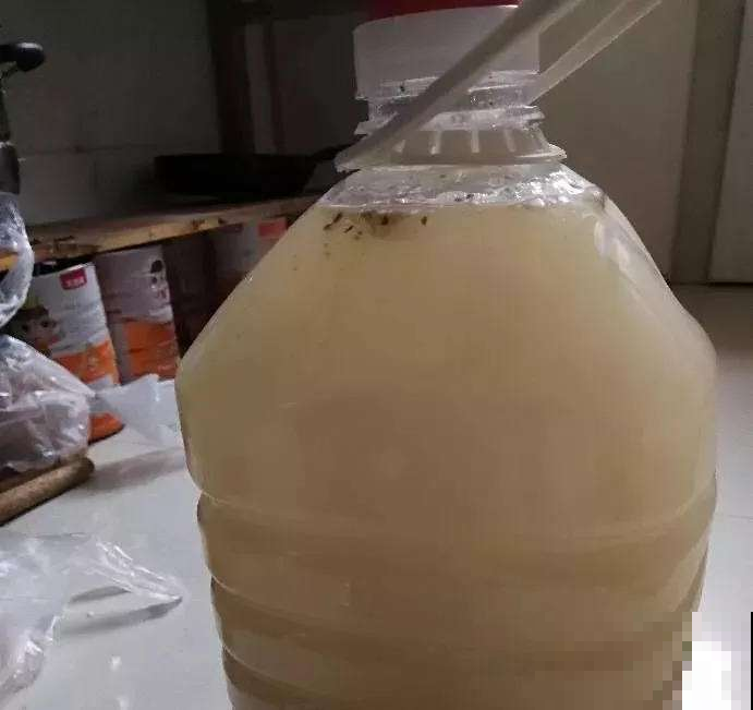 住手！淘米水可不能这么用，怪不得你养的花全病倒了！