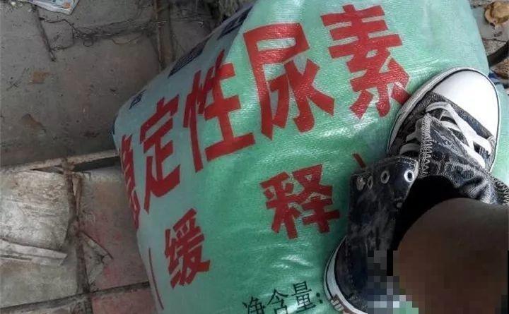 淘米水加点料，没有异味，肥效能翻10倍，养啥花都旺！