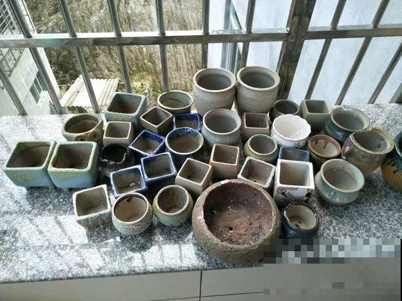 几十个高价花盆，被扔在垃圾桶旁，捡还是不捡？