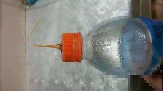 塑料瓶在养花人手里，能浇水能扦插，咋用都是好宝贝！