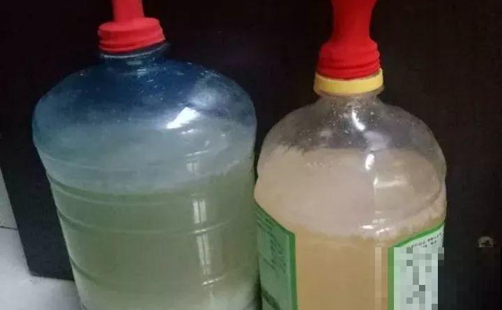 淘米水加点料，没有异味，肥效能翻10倍，养啥花都旺！