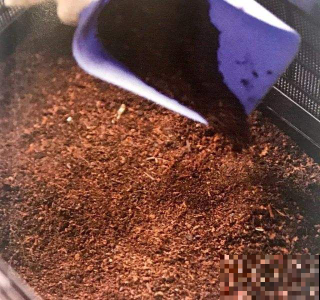 招虫的米面不敢吃，拿来养花是一绝，叶子绿的要滴油！