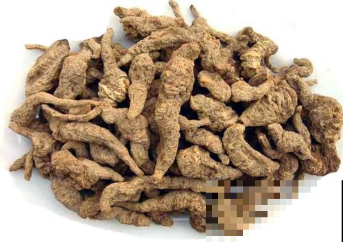 这东西荒地里一大堆，挖了能卖高价，开花还特美！