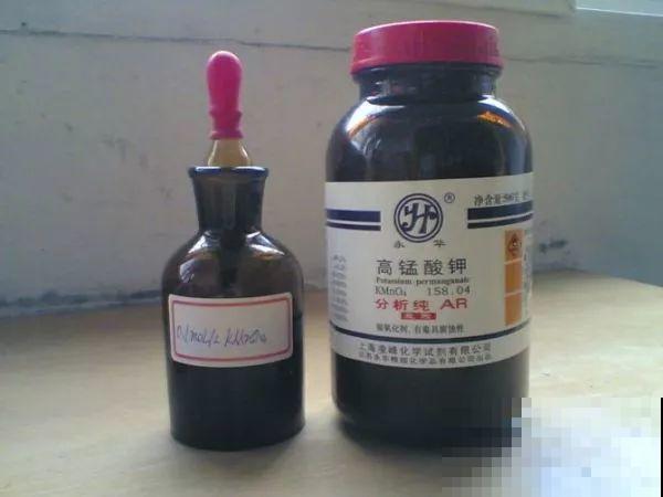 5种自制的生根水，杀菌消毒泡一泡就完事，夏天也能放心扦插！