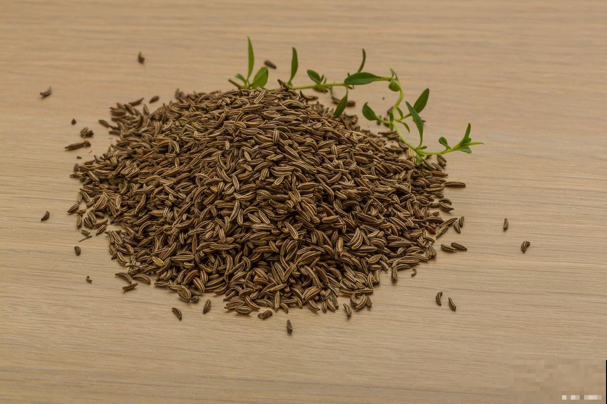 韭菜如何种植方法