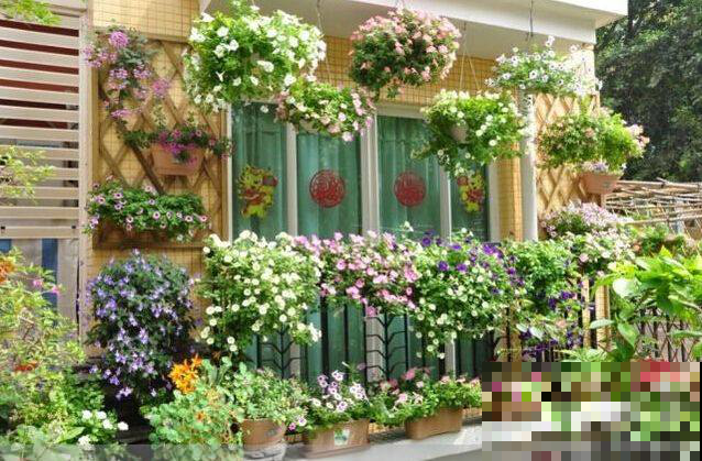 阳台花太多咋整？这么做还能再放100盆，5平米瞬变50平！