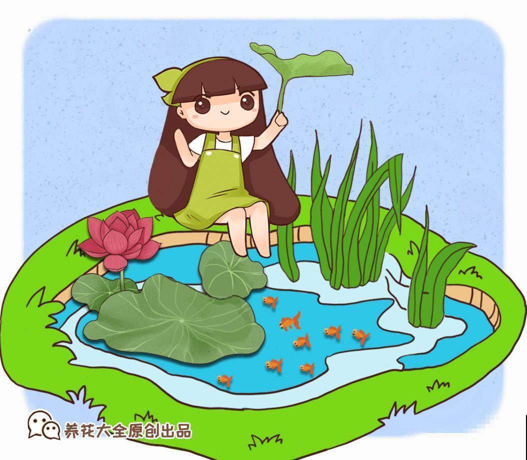 院子没有，那就用它来造水景，简单又大方！