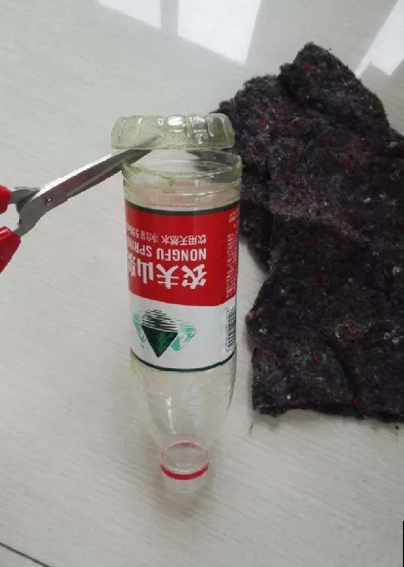 在养花人眼里，塑料瓶可是好宝贝，摇身一变成绿萝柱！