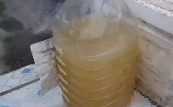 淘米水加点料，没有异味，肥效能翻10倍，养啥花都旺！