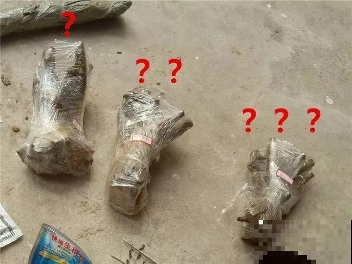 养了两个月的花，竟发现是假的？这些套路还真得摸清楚！