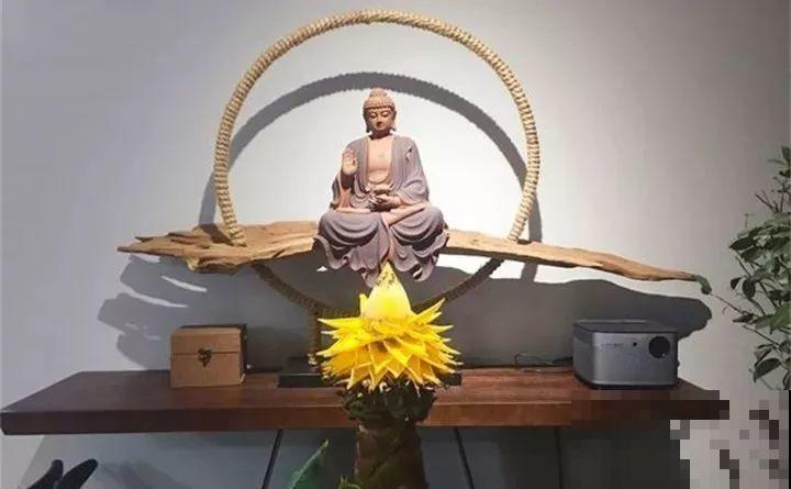 这20种花，一开就是上百天，阳台一年四季有花赏！