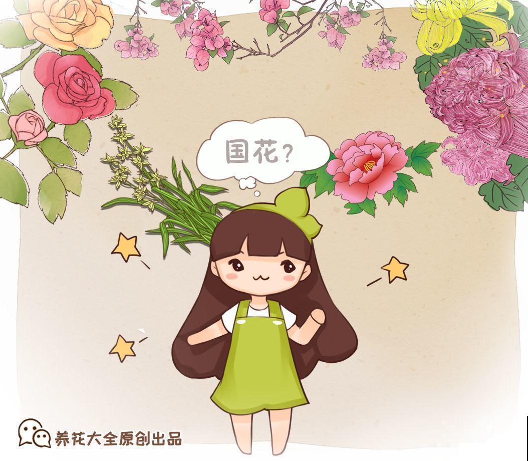 国花是牡丹？这么多年，原来都是自己想错了！