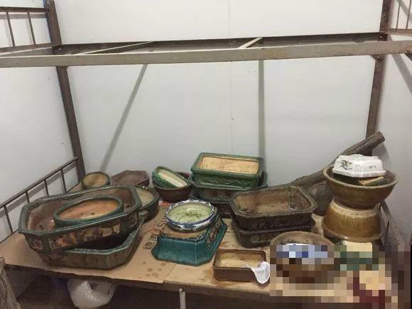 几十个高价花盆，被扔在垃圾桶旁，捡还是不捡？