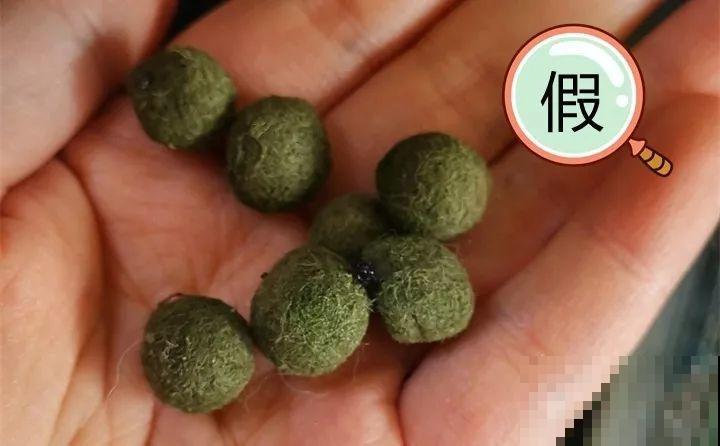 养了两个月的花，竟发现是假的？这些套路还真得摸清楚！
