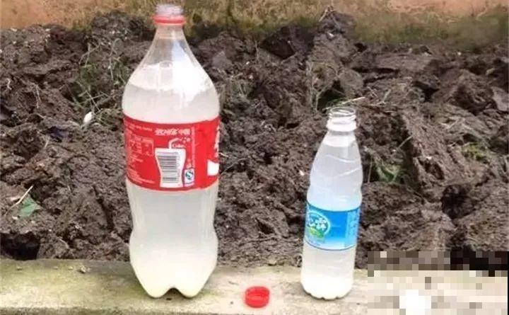 淘米水加点料，没有异味，肥效能翻10倍，养啥花都旺！