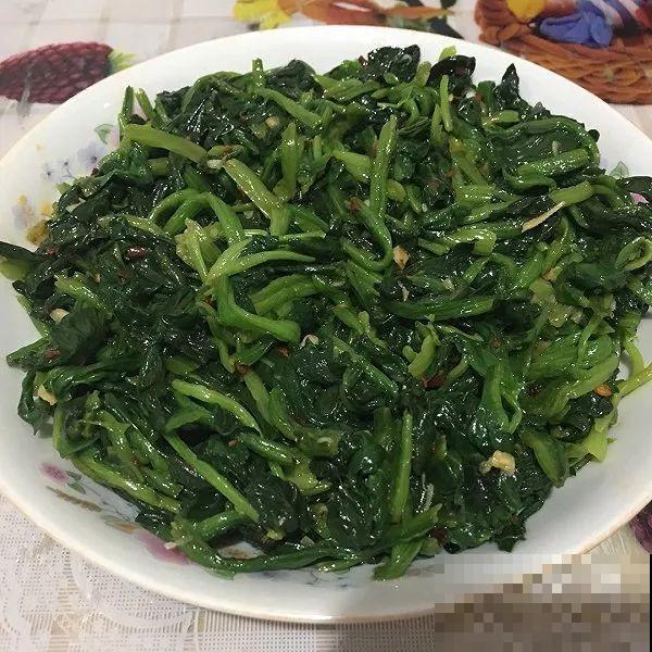 8种夏季最火凉拌菜，5分钟就上桌，一顿能吃3个馍！