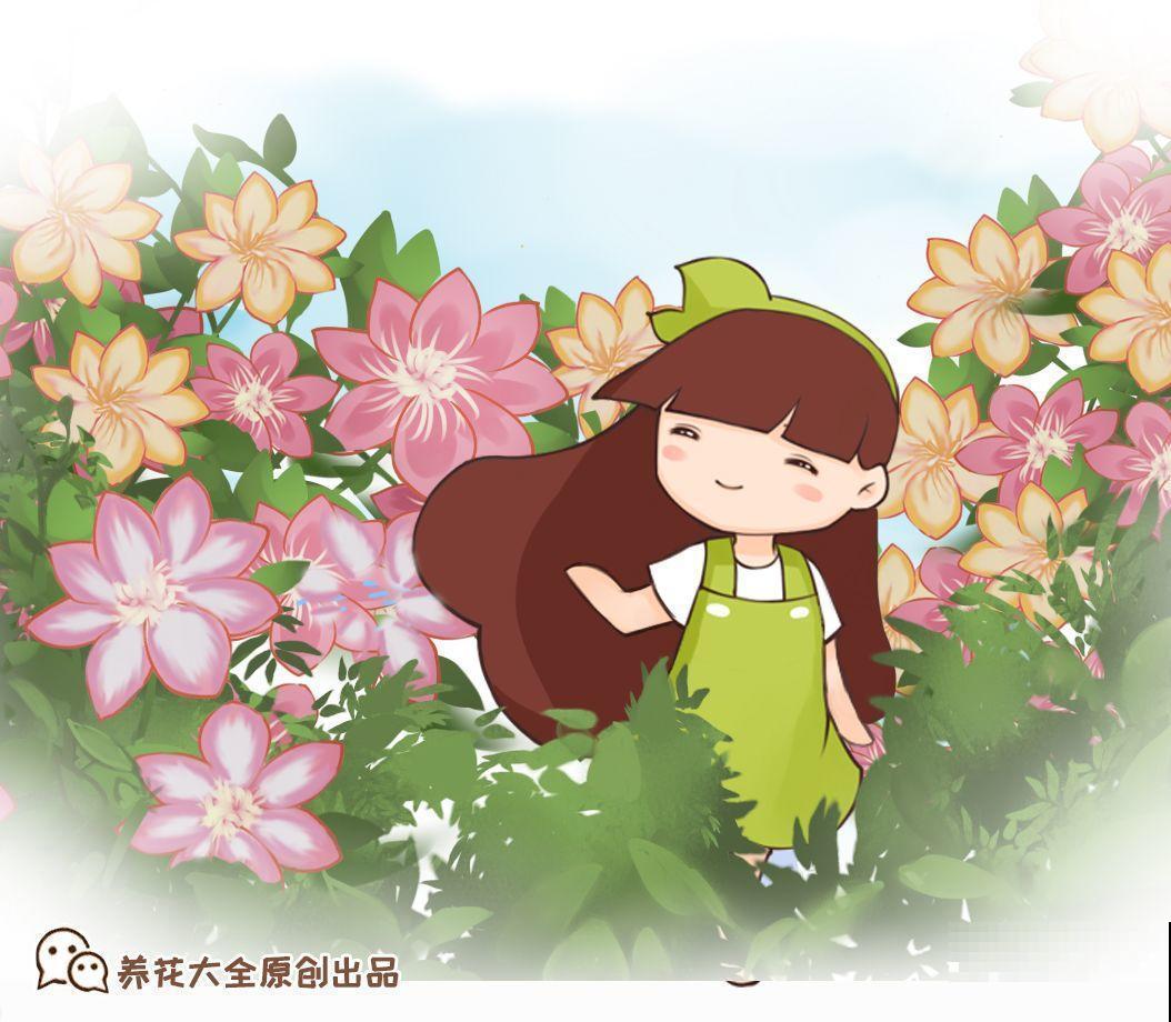 这花特耐晒，40℃高温开出花海，由内而外透露着仙气！