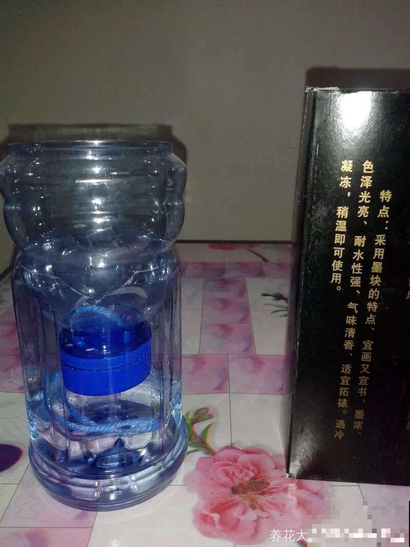 在养花人眼里，塑料瓶可是好宝贝，摇身一变成绿萝柱！