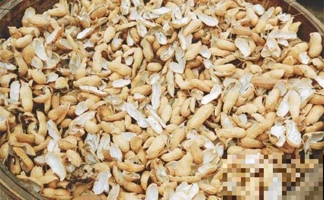 这5种“垃圾”，养花人都不丢，直接埋盆里，连肥料钱都省了！