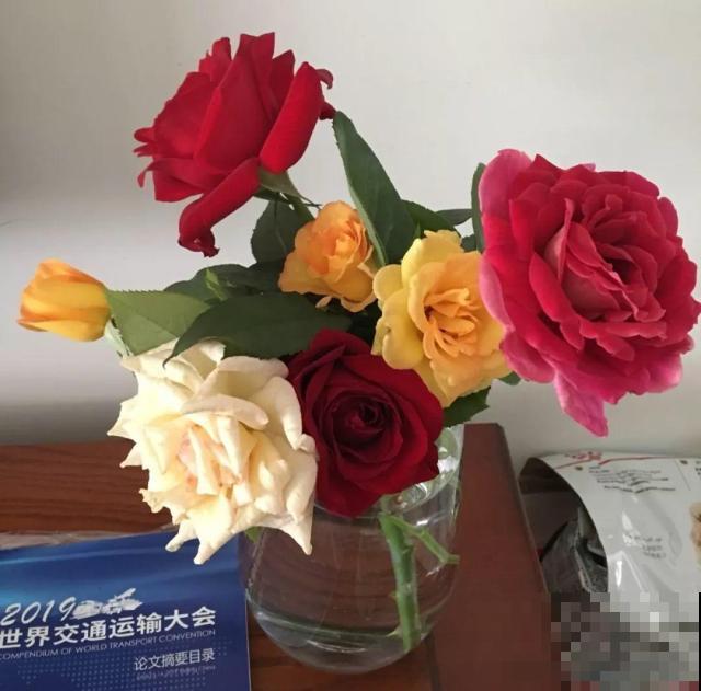 这花掐个枝丢水里，3天就生根，10天爆出一大盆！