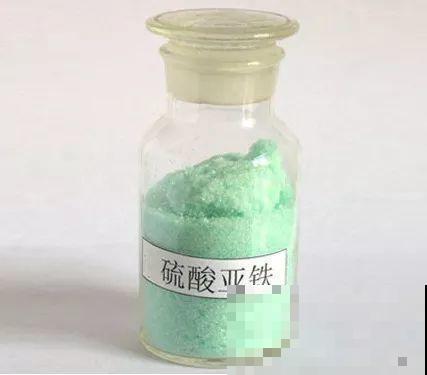 浇水的时候加点它，栀子不黄叶，开的花比拳头大！