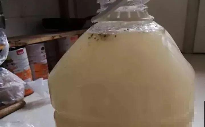 淘米水加点料，没有异味，肥效能翻10倍，养啥花都旺！