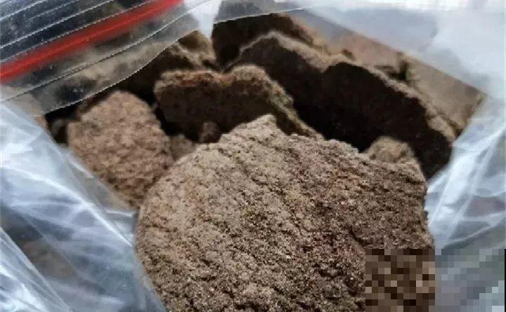 路边捡把“超能肥”，撒盆里，浇点水，花儿疯长不要命！
