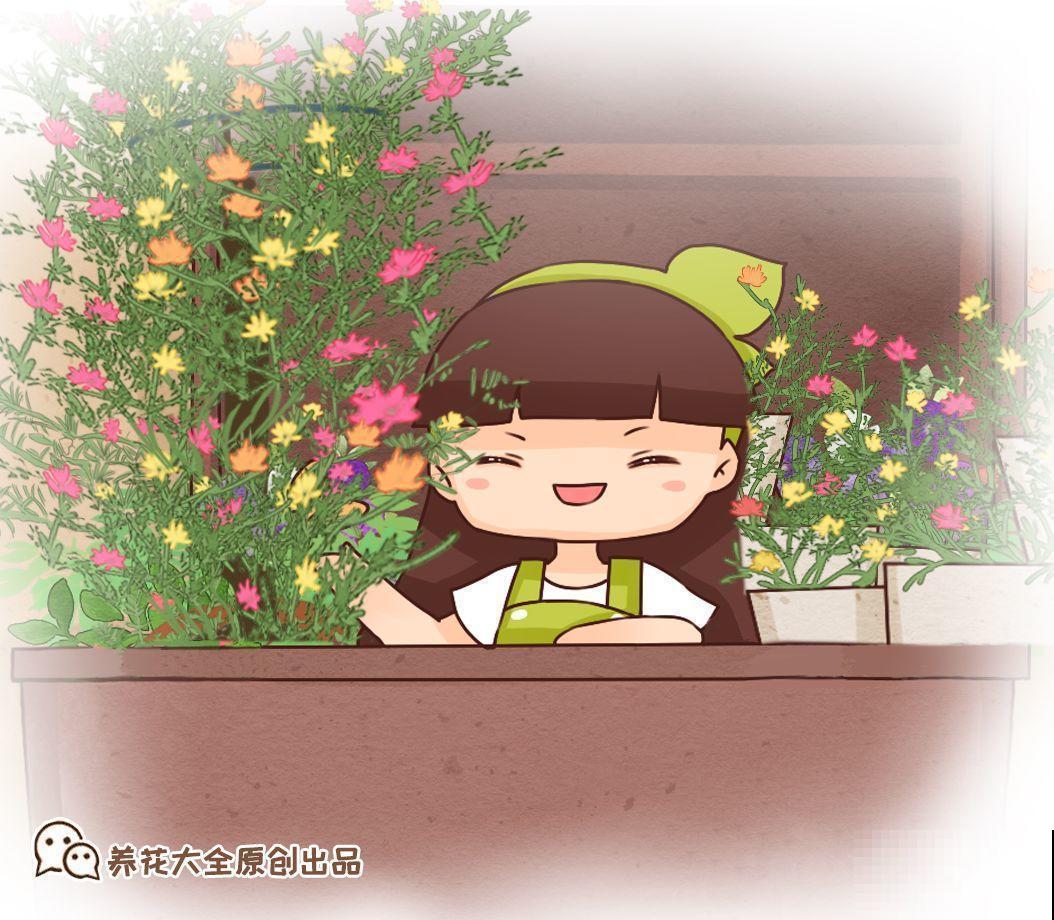 夏天养这15种花，越晒越爆盆，阳台瞬间热闹起来！