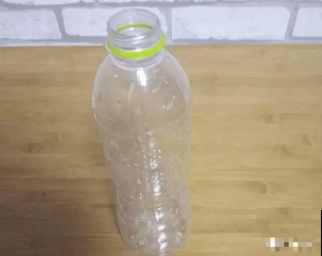 在养花人眼里，塑料瓶可是好宝贝，摇身一变成绿萝柱！