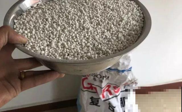 啤酒能不能浇花？这个还真不好说，要看怎么浇水！