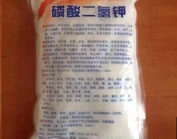 龟背竹盆里插个它，个子能长2米高，叶片油亮不倒伏！