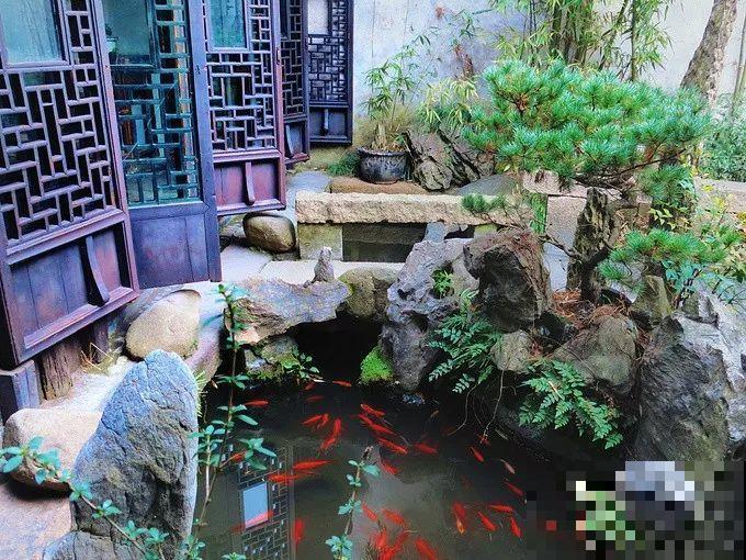 院子没有，那就用它来造水景，简单又大方！