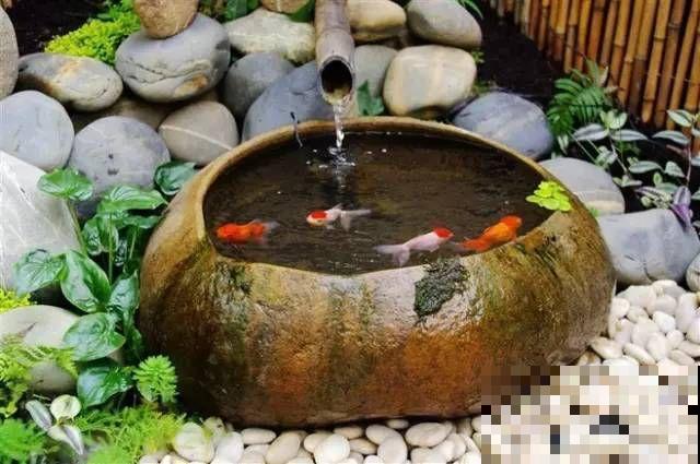 院子没有，那就用它来造水景，简单又大方！