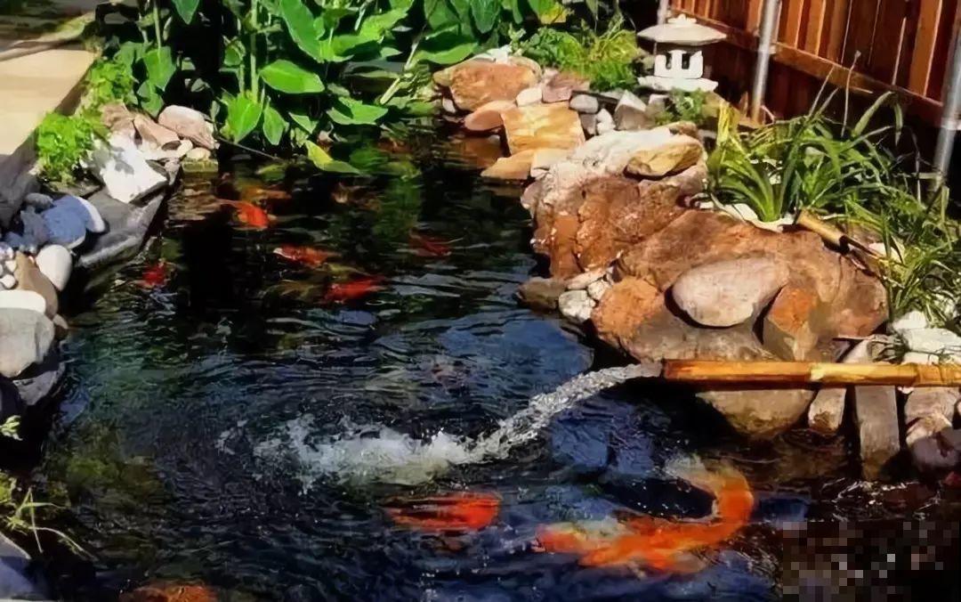 院子没有，那就用它来造水景，简单又大方！