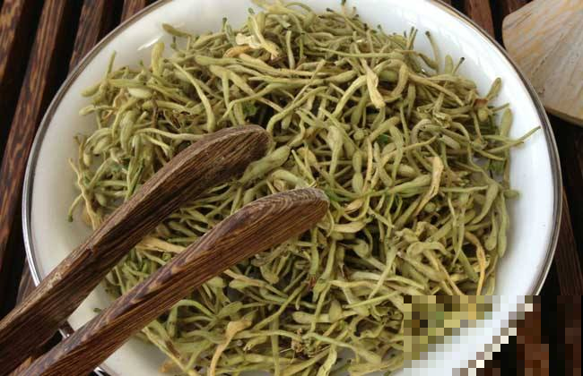 路上看到这种“金银花”赶紧远离，内含剧毒，放倒你不商量！