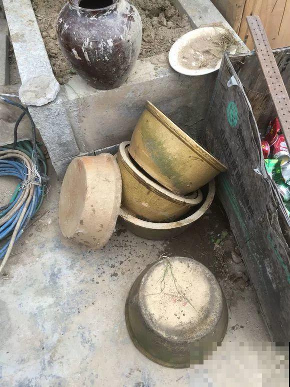 几十个高价花盆，被扔在垃圾桶旁，捡还是不捡？
